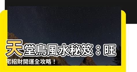 天堂鳥財位|【天堂鳥財位】招財天堂鳥盆栽擺放密技，財位坐向這樣擺，錢財。